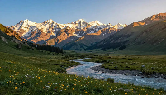 Altai Gold : Le guide complet sur les bienfaits, l'utilisation et la puissance - Altai Origin