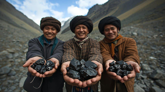Shelajit, Sheelajit, Silajit ou Shilajit ?
