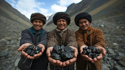 Récolte Traditionnelle au Cœur des Montagnes de l'Altaï