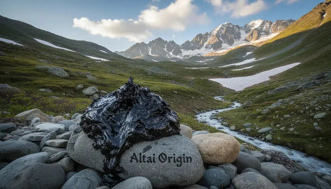 Pure Altai Shilajit resin on a stone in the Altai Mountains landscape with snow-capped peaks and a river.