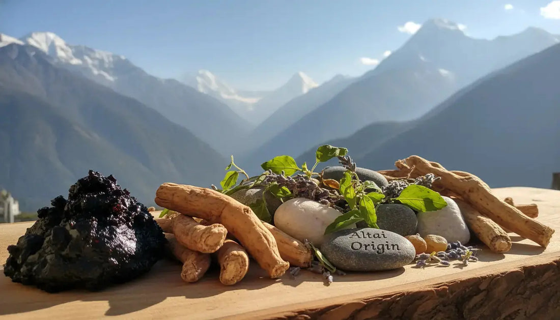 Shilajit vs Ashwagandha : de quel adaptogène de l'Himalaya avez-vous besoin ? - Altai Origin