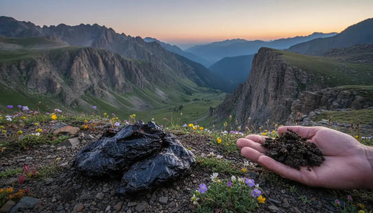 "Chilagit" ou Shilajit : Les bienfaits du Shilajit et cure de Shilajit expliqués - Altai Origin