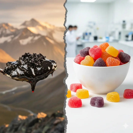Gummies au Shilajit : Miracle de Bien-être ou Simple Sucrerie ? - Altai Origin