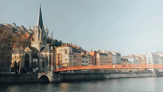 Où acheter du Shilajit pur à Lyon ? Qualité et Bienfaits - Altai Origin