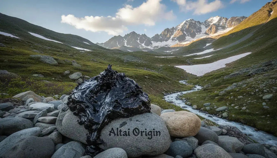 Pure Altai Shilajit Resin : Guide Complet sur ses Bienfaits et Formes - Altai Origin