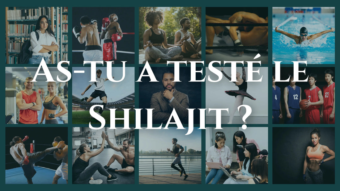 Qu'est-ce que le Shilajit et quels sont ses bienfaits ? Top 8 expliqués - Altai Origin