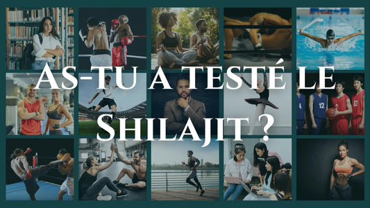 Qu'est-ce que le Shilajit et quels sont ses bienfaits ? Top 8 expliqués - Altai Origin
