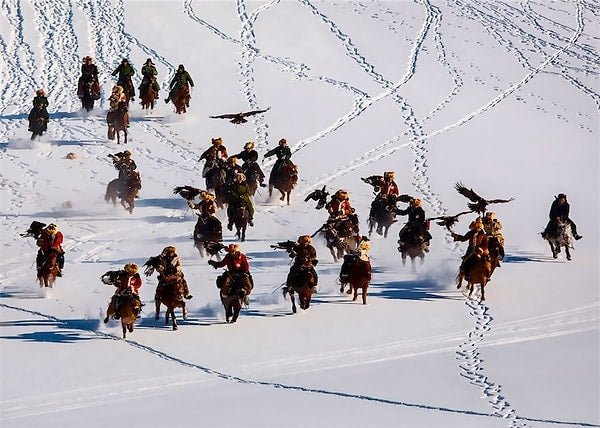 Chasseurs à l'aigle de l'Altaï : 7 ans de patience récompensés