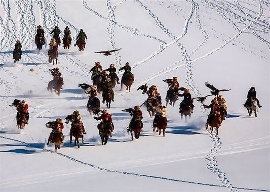 Chasseurs à l'aigle de l'Altaï : 7 ans de patience récompensés