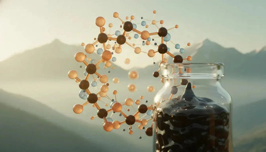 Science du Shilajit : Acide Fulvique et Assimilation Naturelle - Altai Origin