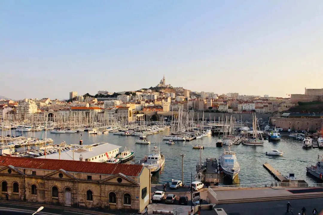 Shilajit à Marseille : Où acheter la meilleure résine de l'Altaï pure ? - Altai Origin