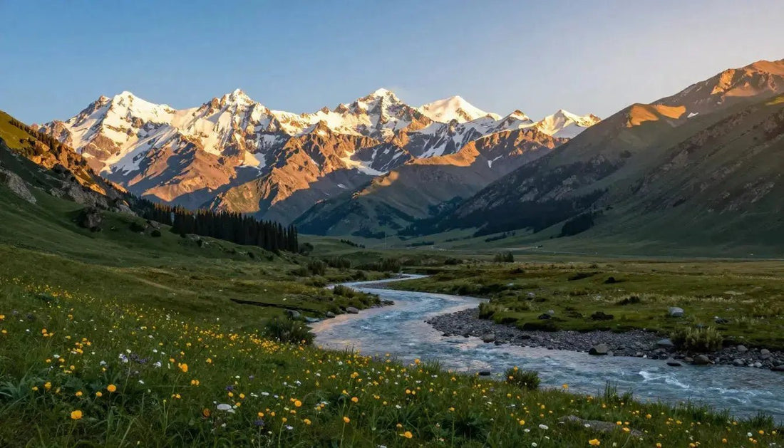 Shilajit Altai Gold : Guide sur le Purified Shilajit et sa Pureté - Altai Origin