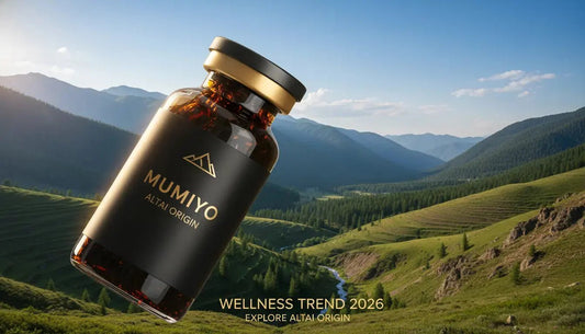 Shilajit et Équilibre Immunitaire : Soutenir ses Défenses Naturelles - Altai Origin
