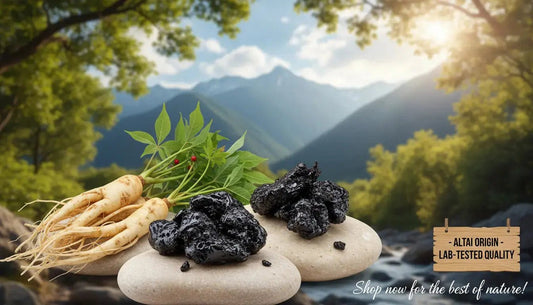 Shilajit ou Ginseng : Quel est le meilleur adaptogène ? - Altai Origin