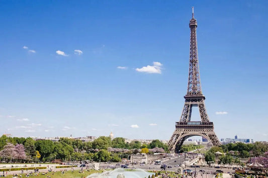 Shilajit Paris : Boutique Pureté, Livraison Gratuite et Expédition le Jour Même - Altai Origin