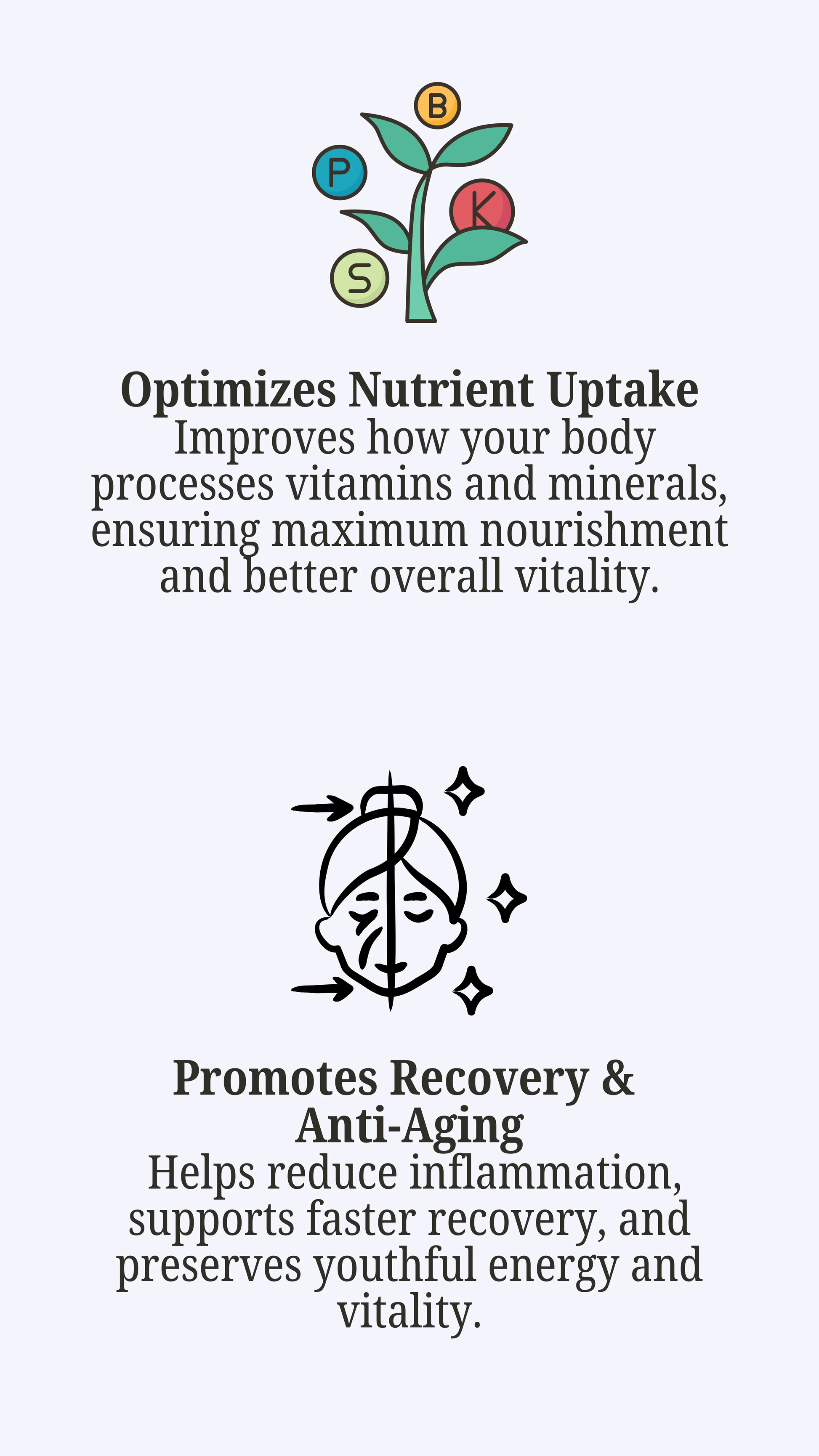 Altai Gold Shilajit (Mumiyo) 30 Tablets - Natural Energy & Focus Support Shilajit Market