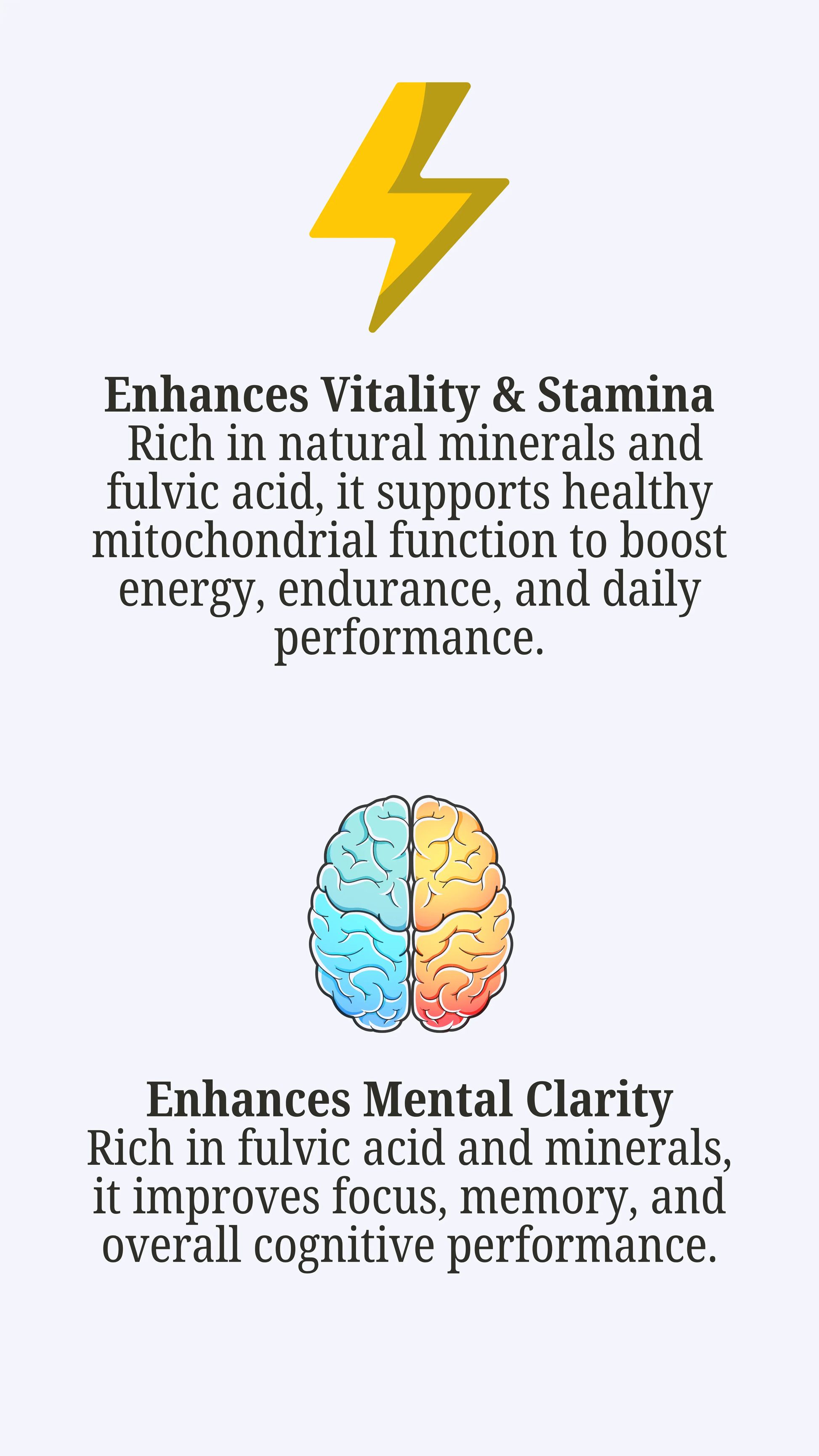 Pure Altai Shilajit Gel 10g | Natural Energy, Strength & Vitality Booster My Store